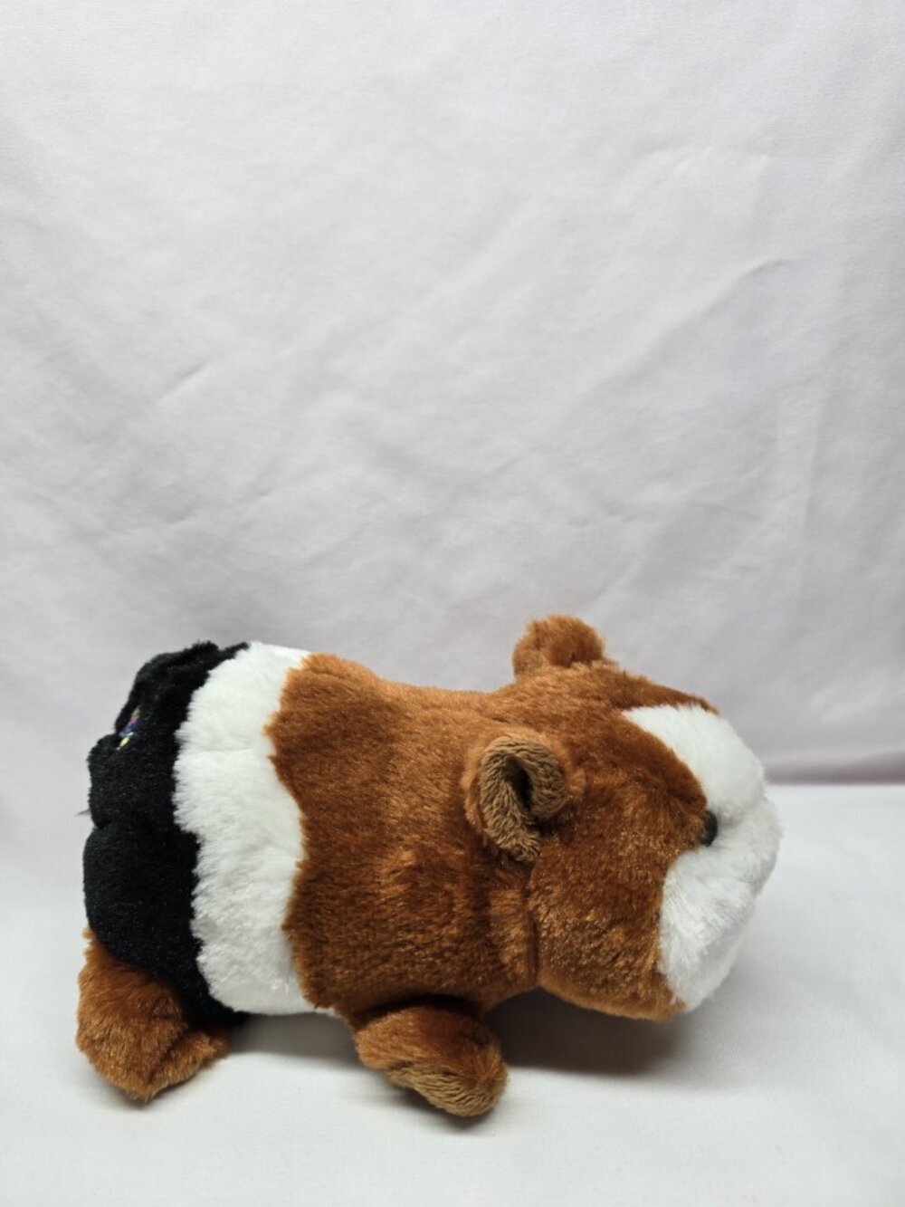 Ganz Webkinz Guinea Pig HM361 Stuffed Animal Toy No Code Retired